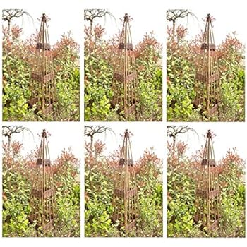 Rankobelisk, Pyramide aus Weide (Ø 50 x 180 cm): Amazon.de: Garten
