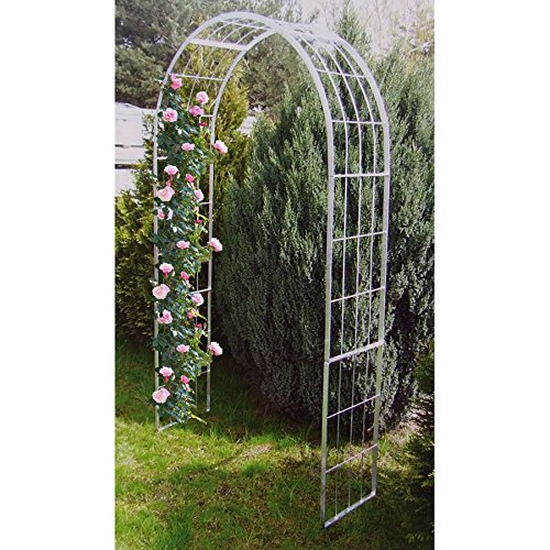 Garten Rosenbogen 120x220cm - 2