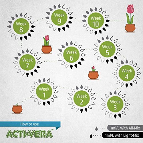 BioBizz Universaldünger Acti-Vera Botanischen Aktivator, 1 L, transparent - 2