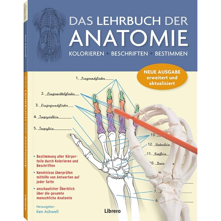 Sobotta Malbuch Anatomie : Kretz, Oliver: Amazon.de: Bücher