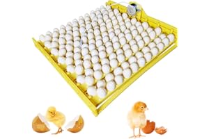 PAIDUOJI Plateau à Oeufs Automatique de Nouveau Style avec Moteurs 220V pour incubateur à 56 Oeufs (154+220v Motor)