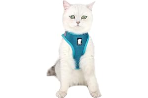 LIANZIMAU Katzengeschirr und Leine Ultraleicht für Fluchtschutz Verstellbarer weicher Netzschritt in gepolsterter Polsterung Laufweste Jacke für Kätzchen Haustiere Welpe Türkis