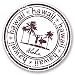 Produktbild 2 x Hawaii Aloha Vinyl Aufkleber Aufkleber Laptop Reise Gepäck Auto Ipad Schild Fun # 4537 - 10cm/100mm Wide