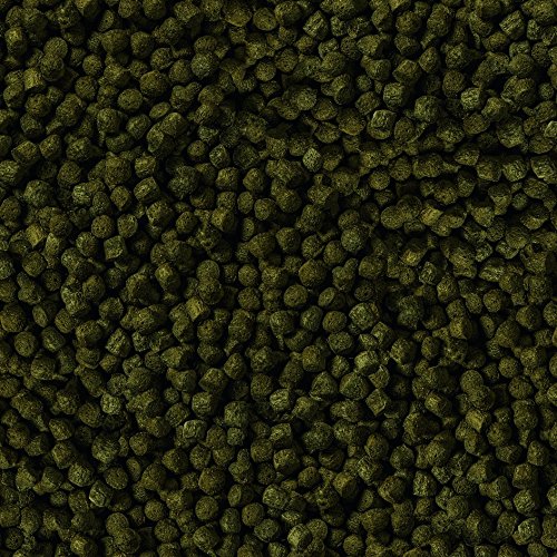 sera 07021 Koi Color Medium 3,8 Liter (4 mm) das Farbfutter für farbenprächtige, vitale Koi zwischen 12 und 25 cm - 2