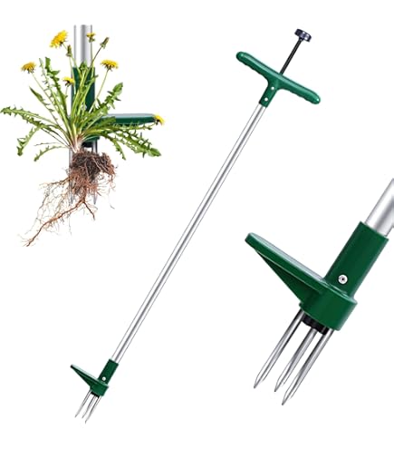 Rimuovere Dente Leone Estirpatore Erbacce Con Manico Lungo - Strumento 2 In 1 Rastrello E Zappa 148cm Attrezzo Giardinaggio Estensibile
