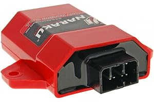 Naraku - Centralita CDI para Peugeot con inmovilizador ACI100.01 Peugeot ELYSEO 50