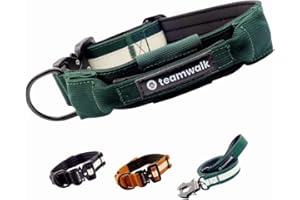 teamwalk® Premium Hundehalsband - mit Magnetgriff, Leuchtstreifen, Air-Tag Tasche, individuell einstellbar, weiche Polsterung, robuste Schnalle, mit passender Leine erhältlich(Waldgrün, S)