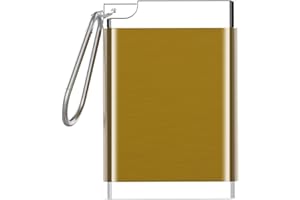 JUSPOTA Cenicero de bolsillo para cigarrillos a prueba de olor, mini cenicero para viajar, cenicero de viaje con tapa y gran capacidad para cenicero to go acero inoxidable dorado