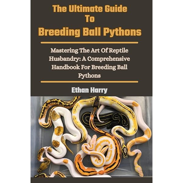 Python regius: Atlas of Colour Morphs, Keeping and Breeding