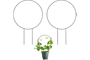 Huakaile 2 Pack Small Trellis for Potted Plants Climbing, 13.7" Outdoor Indoor Plant Trellis, Stackable Garden Plant Climber Support, Metal Houseplant Trellis Stakes for Vine Ivy Flowerpot (Round)