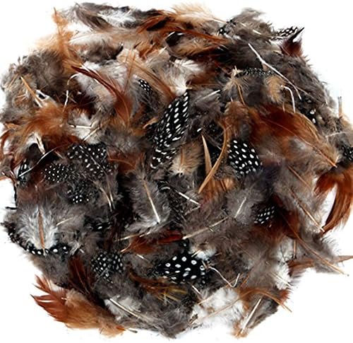 Artstraws Natural Craft Feathers with Spots