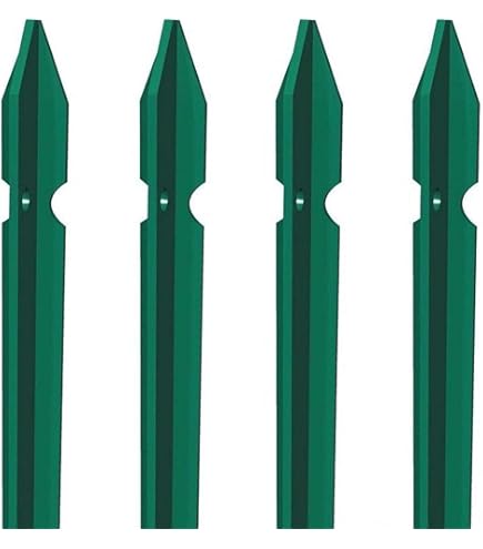 Tendifilo Plastificato N 3 Grande (mm 103x29