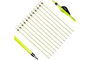 biubiusot 31" Carbon Arrows 350 500 Spine Archery Hunting with Replaceable Broadhead Target Practice for Compound Recurve Bow 12pcs