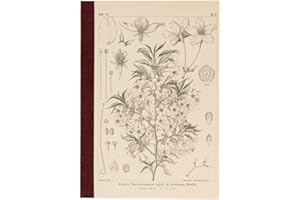 ほぼ日 Hobonichi Techo Accessories Hobonichi Graph Notebook (A5) - Yamazakura