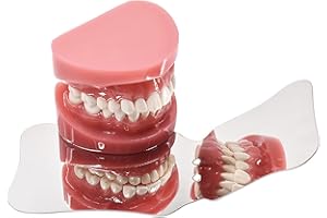 BUYZG Specchio per fotografia ortodontica dentale Specchi orali Denti Riflettore in acciaio inossidabile(B)