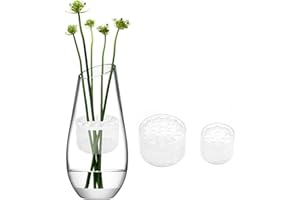 FANGCCC 2Pcs Blumenstielhalter, Spiral Ikebana Stielhalter, Blumengesteck Spiralstielhalter für Vasen, Hanataba Blumenhalter, Ikebana Bouquet Twister, DIY Blumenstrauß Twister, Stielhalter Blumen Transparent