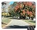 Produktbild Into the Woods Mauspad, Mousepad (Wälder Maus Pad) #013