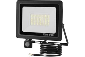 ‎MILLE LUCCIOLE Mille Lucciole LED Strahler mit Bewegungsmelder Außen,100W Strahler mit bewegungsmelder Aussen,LED Strahler mit Bewegungsmelder 10000LM,LED Strahler Bewegungsmelder IP65 Wasserfest 6500K Kaltweiß