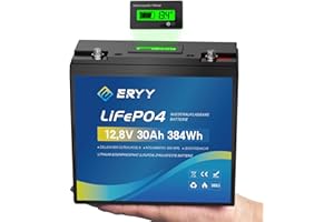 ERYY 12V 30Ah LiFePO4 Batterie, 5000+ Tiefenzyklus Lithium-Batterie mit 30A BMS, Leichte wiederaufladbare Freizeitbatterie für Wohnmobile, Camping-Ausrüstung, Trolling-Motoren, Solarenergiespeicher