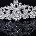 Tinksky Delicate Wedding Bridal Prom Shining Crystal Rhinestones Butterfly Love Flower Crown Headband Veil Tiara (Silver)