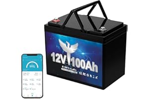‎ELFHUB Elfhub 12V 100Ah LiFePO4 Bluetooth Autobatterie 100A BMS 8000 Zyklen LithiumBatterie,1280W Leistung Perfekter Ersatz für Blei-Säure Batterien für Wohnwagen Camping, Solar Home Systeme