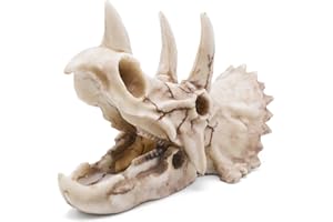 Kocris Casa Dinosaure Crane Décoration D'Aquarium Décor Decoration Statues Halloween Tete De Mort Decoration Deco Crâne Terrarium Squelette Paysagère pour Aquarium