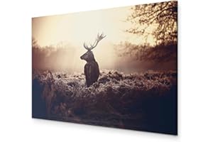 murando - Wandbilder XXL Hirsch 90x60 cm 1 tlg - Wand Deko Vlies Leinwand Bilder Groß Wanddeko Wohnzimmer Schlafzimmer Kunstdrucke - Natur Tier Landschaft g-B-0046-b-d