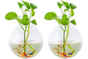 Glasseam Jardinières Suspendues en Verre 2 Pcs Forme Sphérique Pots De Plantes Terrarium Vase De Récipient avec 2.12 OZ Pierres Colorées Intérieur Extérieur pour La Maison Jardin Bureau Mariage