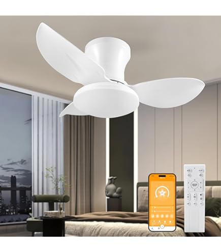 HaoDrisk 100CM-Ventilateur Plafond avec Lumiere avec Telecommande, 60W Ventilateur Plafond Silencieux 6 Vitesses Réversible, Ventilateur de Plafond Lampe Dimmable Timer pour Chambre Salon