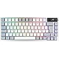 ASUS ROG Azoth White RGB Gaming Keyboard (QWERTZ Layout, 75% Keyboard Form Factor, Mechanical ROG NX Switches, OLED Display, Wireless with Bluetooth, 2.4GHz RF, USB, Windows and MacOS Mode, White)