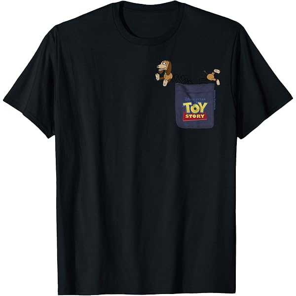 Disney & Pixar's Toy Story 30th Anniversary 30 Years of Fun