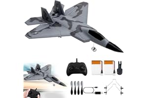 SGZIOO RC Flugzeug,2.4Ghz 2 Kanal Ferngesteuertes Flugzeug mit LED-Licht Kämpfer Flugzeuge Spielzeug Modell mit 3 Axis Gyro System Schaumstoff Flugzeu-g Ferngesteuert mit USB-Aufladung für Kinder (Grau)