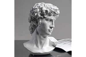 PIGPIGFLY Figurki dekoracyjne, dekoracja salonu, statuetka Wenus, dekoracja domu, nowoczesne ozdoby do salonu, żywica poliestrowa, prezent (Dawid)