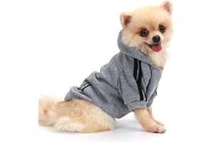 QiCheng&LYS Felpe Cani, Felpa cani Piccola Taglia, Maglioncino per Cani, Cappotto Caldo Dell'animale Domestico (Grigio, S)