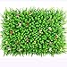 Produktbild SUNNAIYUAN Künstliche Heckenplatten, Buchsbaum-Grün-Efeu-Privatleben-Zaun, Hausgarten-im Freienwand-Dekoration (24pack) (Size : 24pack)