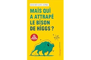 Mais qui a attrapé le bison de Higgs ?: ... et autres questions que vous n'avez jamais osé poser à haute voix...
