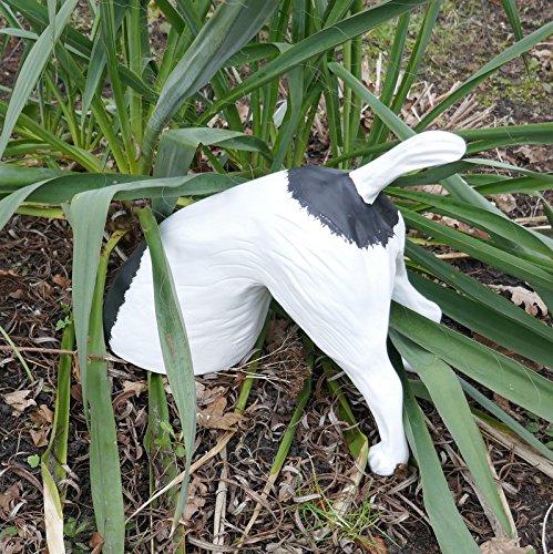 Moitié chien jack russel terrier grabend, pour décoration de jardin