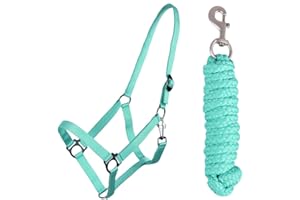 QHP B.V. QHP Halfter-Set Beginner Halfter + Führstrick Heavy Karabinerhaken (Minishetty, Türkis)