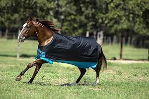 Horseware Turnout medium 200g -Black with Turquoise& Black