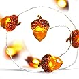 BOHON LED String Lights 40 LEDs Acorn Lights String Battery-powered 10ft Copper Wire lights for Ice Age, Thanksgiving, Bedroom, Christmas Tree Decorations with Dimmable Remote & Timer