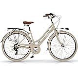 Airbici Bicicletta da Città Donna Alluminio 603AL