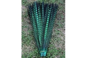 BULZEU 10Pcs Pheasant Tail Feathers for Craft or Decoration