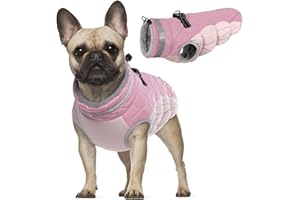 PUMYPOREITY Abrigo para Perros de Invierno, Chaqueta Impermeable Perro Cálida Chaleco Traje Anti-Nieve Ropa de Invierno con Forro Polar & Reflectantes Tiras para Perros Pequeños Medianos y Grandes(Rosa, S)