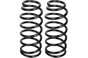 SCITOO 2Pcs Rear Suspension Coil Spring Set Fits 2006 2007 2008 2009 2010 2011 for Honda Civic with 81680 52441SNCA01 Coil Springs