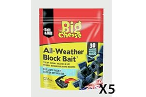 STV INTERNATIONAL The Big Cheese STV213 All-Weather Block Bait², Blue, 30 x 10 g (5)