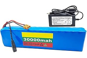 OMURGA 24V 29.4V 30Ah Batteries pour Vélo,24V Batterie De Vélo Électrique 7S4P Lithium Battery Pack Built in BMS with and Charger for 100W-200W 350W 500W Electric Scooter