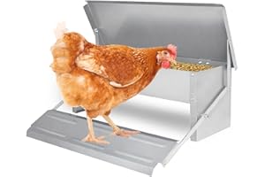 EINFEBEN Pollo, mangiatoia automatica per pollame, 5 kg, con coperchio, distributore automatico di mangime per pollame, mangiatoia resistente alle intemperie, adatto per pollame oltre 1 kg