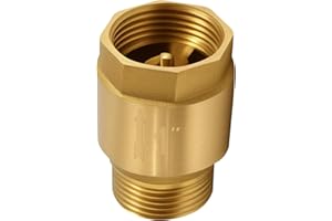 SILKWISH Messing Rückschlagventil 1 Zoll, Rückflussverhinderer 1 Zoll AG zu IG, 1'' Rücklaufventil, Rostfrei und Wasserdicht für Pumpe, Garten, Waschmaschine, Fass