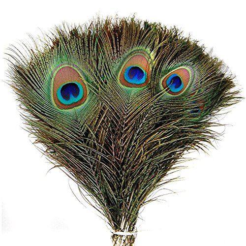 OUFLY 100 Pcs Beautiful Elegant Fullness Natural Peacock Tail Feathers with Eye (10"-12") For Home Party DIY Decoration