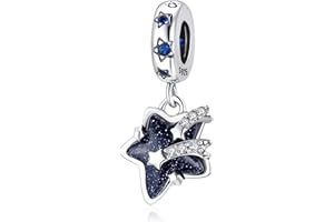 Jokmeo Charms Beads 925 Sterling Silver for Pandora Bracelet, Dangle Pendant Charms for Necklace and Bracelet Jewelry Gifts for Women Z1